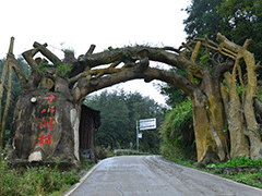 愛(ài)心水(shuǐ)攜手快(kuài)遞巨頭，共助鄉(xiāng)村(cūn)振興